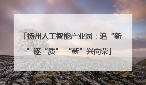 扬州人工智能产业园：追“新”逐“质” “新”兴向荣