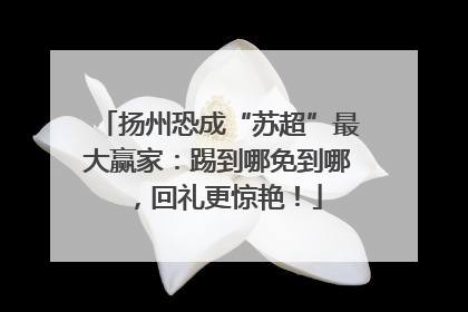 扬州恐成“苏超”最大赢家：踢到哪免到哪，回礼更惊艳！