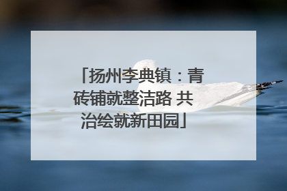 扬州李典镇：青砖铺就整洁路 共治绘就新田园