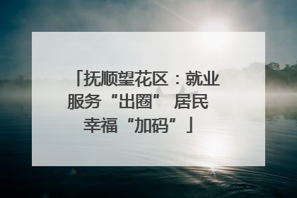 抚顺望花区：就业服务“出圈” 居民幸福“加码”