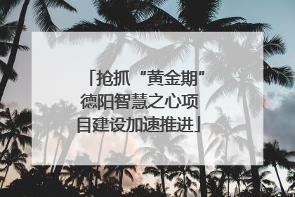 抢抓“黄金期” 德阳智慧之心项目建设加速推进