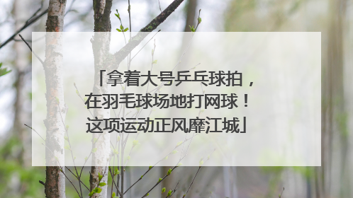 拿着大号乒乓球拍，在羽毛球场地打网球！这项运动正风靡江城
