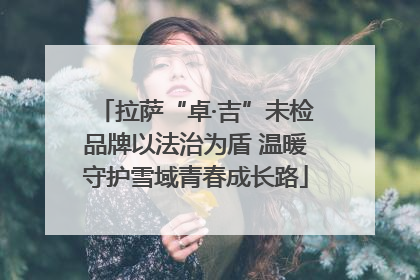 拉萨“卓·吉”未检品牌以法治为盾 温暖守护雪域青春成长路