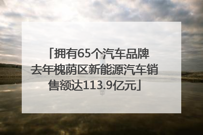 拥有65个汽车品牌 去年槐荫区新能源汽车销售额达113.9亿元