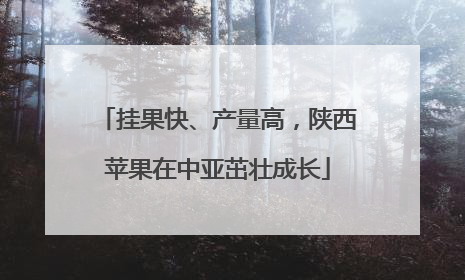挂果快、产量高，陕西苹果在中亚茁壮成长
