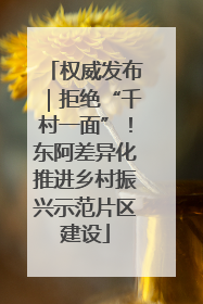 权威发布｜拒绝“千村一面”！东阿差异化推进乡村振兴示范片区建设