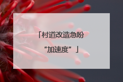 村道改造急盼“加速度”