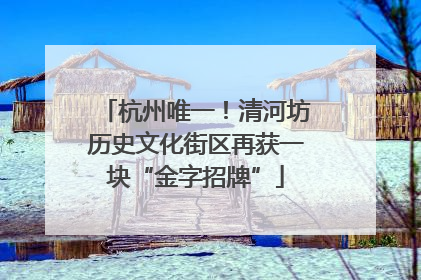 杭州唯一！清河坊历史文化街区再获一块“金字招牌”