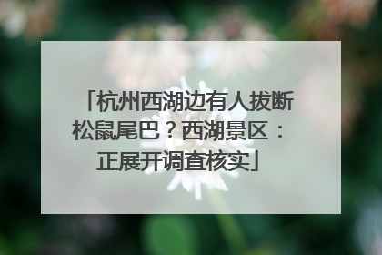杭州西湖边有人拔断松鼠尾巴？西湖景区：正展开调查核实