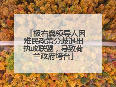 极右翼领导人因难民政策分歧退出执政联盟，导致荷兰政府垮台