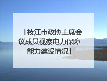 枝江市政协主席会议成员视察电力保障能力建设情况