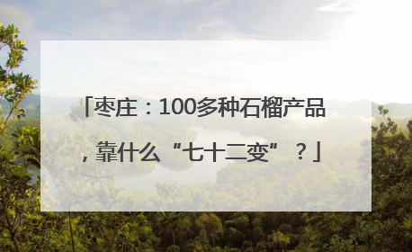 枣庄：100多种石榴产品，靠什么“七十二变”？