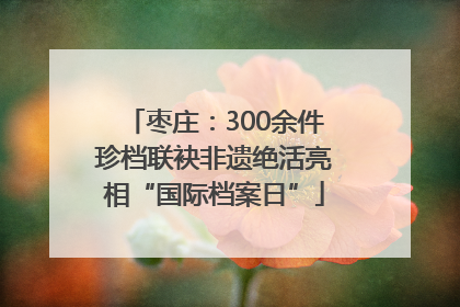 枣庄：300余件珍档联袂非遗绝活亮相“国际档案日”