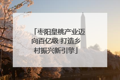 枣阳皇桃产业迈向百亿级 打造乡村振兴新引擎