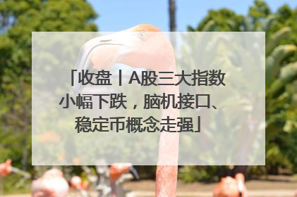收盘丨A股三大指数小幅下跌，脑机接口、稳定币概念走强