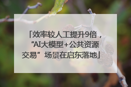 效率较人工提升9倍，“AI大模型+公共资源交易”场景在启东落地