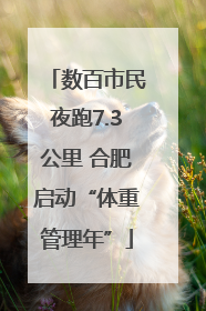 数百市民夜跑7.3公里 合肥启动“体重管理年”
