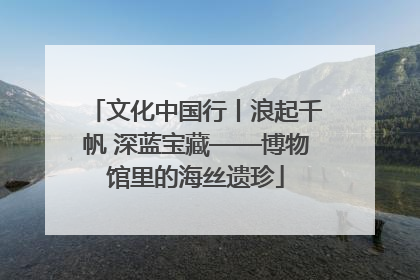 文化中国行丨浪起千帆 深蓝宝藏——博物馆里的海丝遗珍