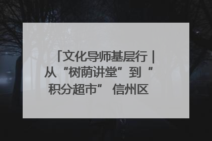 文化导师基层行｜从“树荫讲堂”到“积分超市” 信州区基层治理有实招