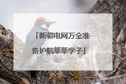 新疆电网万全准备护航莘莘学子