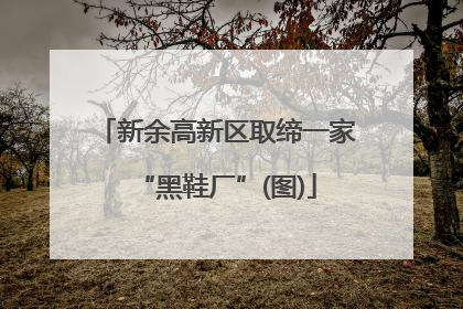 新余高新区取缔一家“黑鞋厂”(图)