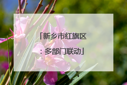 新乡市红旗区：多部门联动