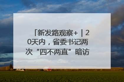 新发路观察+｜20天内，省委书记两次“四不两直”暗访，有何深意？
