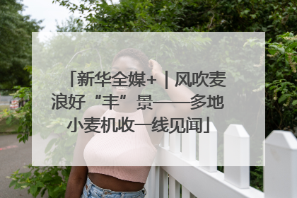 新华全媒+｜风吹麦浪好“丰”景——多地小麦机收一线见闻
