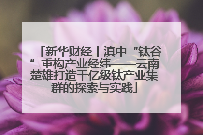新华财经丨滇中“钛谷”重构产业经纬——云南楚雄打造千亿级钛产业集群的探索与实践