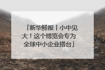新华鲜报丨小中见大！这个博览会专为全球中小企业搭台
