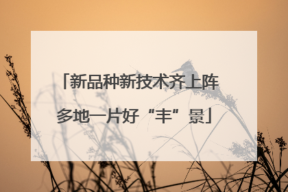 新品种新技术齐上阵 多地一片好“丰”景