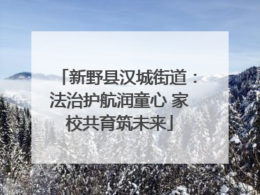 新野县汉城街道：法治护航润童心 家校共育筑未来