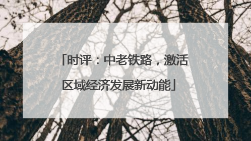 时评：中老铁路，激活区域经济发展新动能