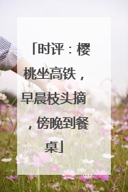时评：樱桃坐高铁，早晨枝头摘，傍晚到餐桌