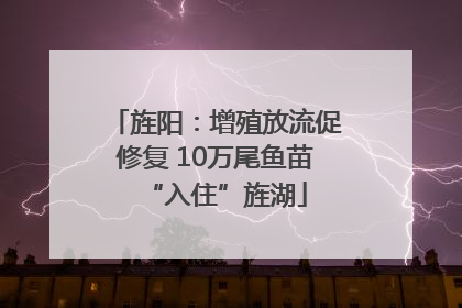 旌阳：增殖放流促修复 10万尾鱼苗“入住”旌湖
