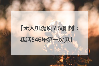 无人机浇顶？汉阳树：我活546年第一次见