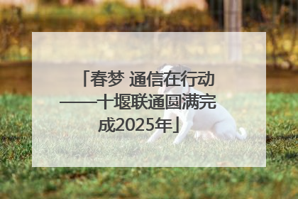 春梦 通信在行动——十堰联通圆满完成2025年