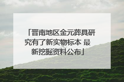 晋南地区金元葬具研究有了新实物标本 最新挖掘资料公布