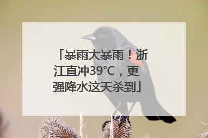 暴雨大暴雨！浙江直冲39℃，更强降水这天杀到