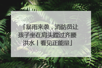 暴雨来袭，消防员让孩子坐在肩头蹚过齐腰洪水丨看见正能量