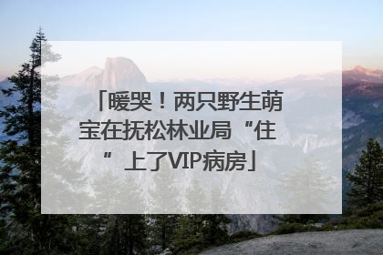 暖哭！两只野生萌宝在抚松林业局“住”上了VIP病房