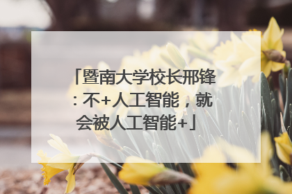 暨南大学校长邢锋：不+人工智能，就会被人工智能+