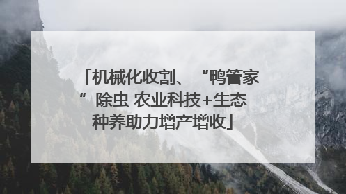 机械化收割、“鸭管家”除虫 农业科技+生态种养助力增产增收