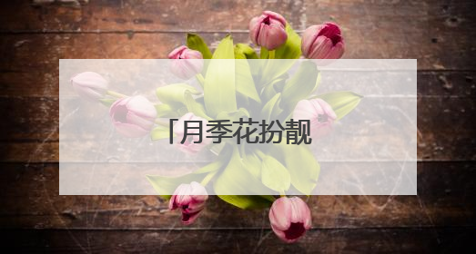 月季花扮靓北京道路