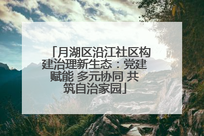 月湖区沿江社区构建治理新生态：党建赋能 多元协同 共筑自治家园