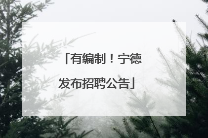 有编制！宁德发布招聘公告