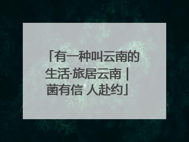 有一种叫云南的生活·旅居云南｜菌有信 人赴约