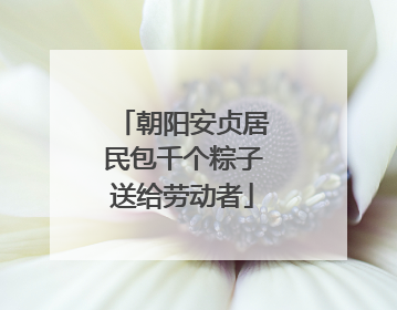 朝阳安贞居民包千个粽子送给劳动者