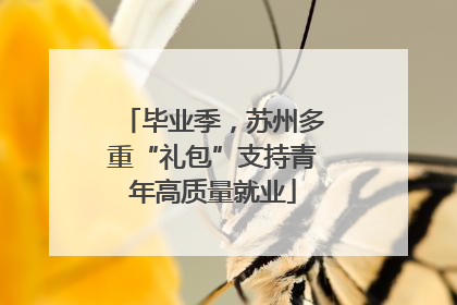 毕业季，苏州多重“礼包”支持青年高质量就业