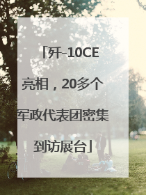 歼-10CE亮相，20多个军政代表团密集到访展台